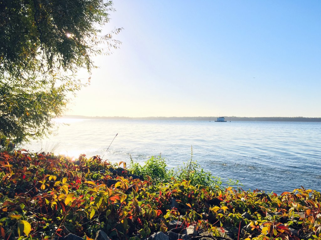 Müggelsee im Herbst (© A. Tittmann)